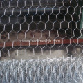 Electro Galvanized Hexagonal Wire Nettings